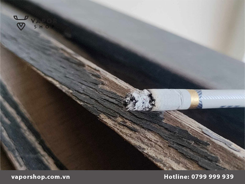 Hàm lượng nicotine trong thuốc lá